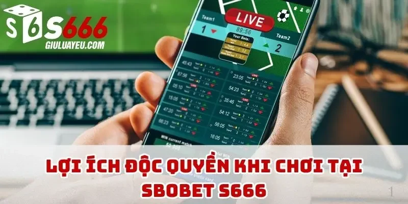 Lợi ích độc quyền khi chơi tại SBOBET S666