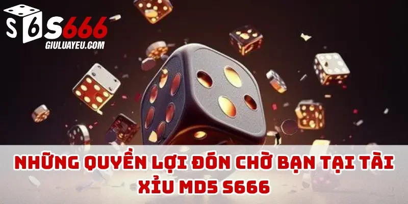 Những quyền lợi đón chờ bạn tại tài xỉu MD5